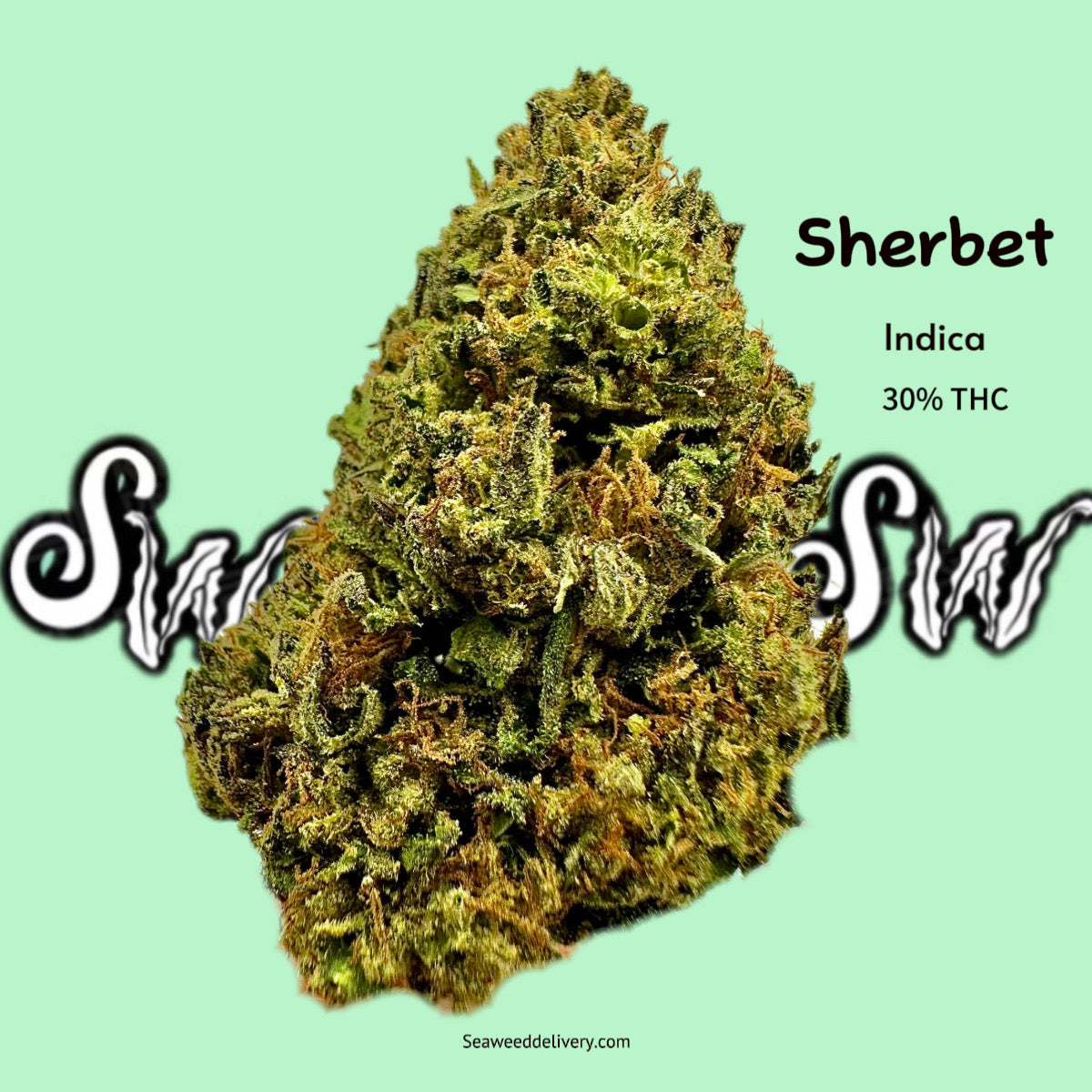 Sherbet (Indica)