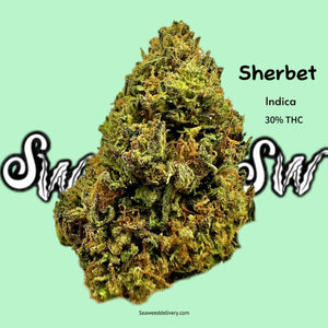 Sherbet (Hybrid)
