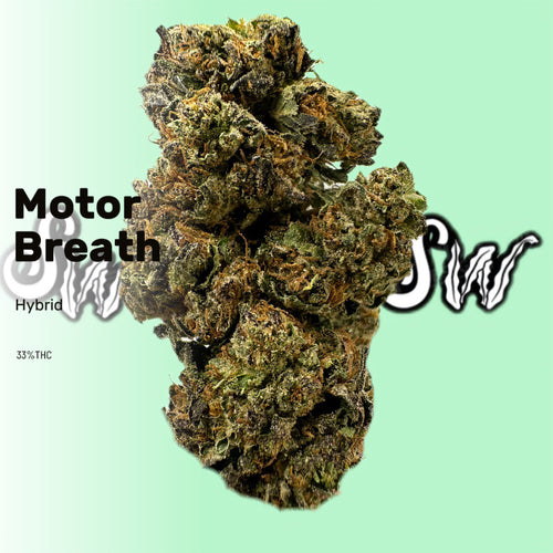 Motor Breath (Hybrid)