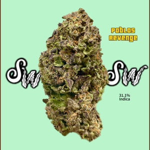 Pablos Revenge  (Indica)