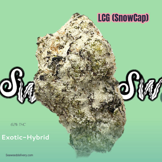 LCG (SnowCap) - Exotic Hybrid