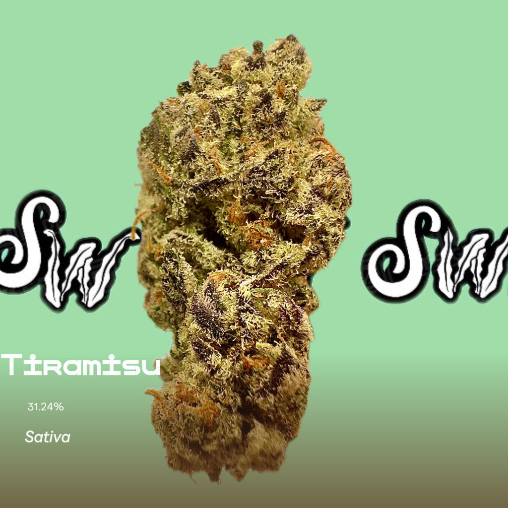 Tiramisu (Sativa)