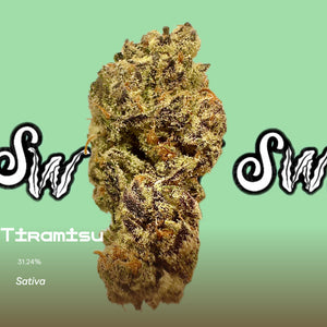 Tiramisu (Sativa)
