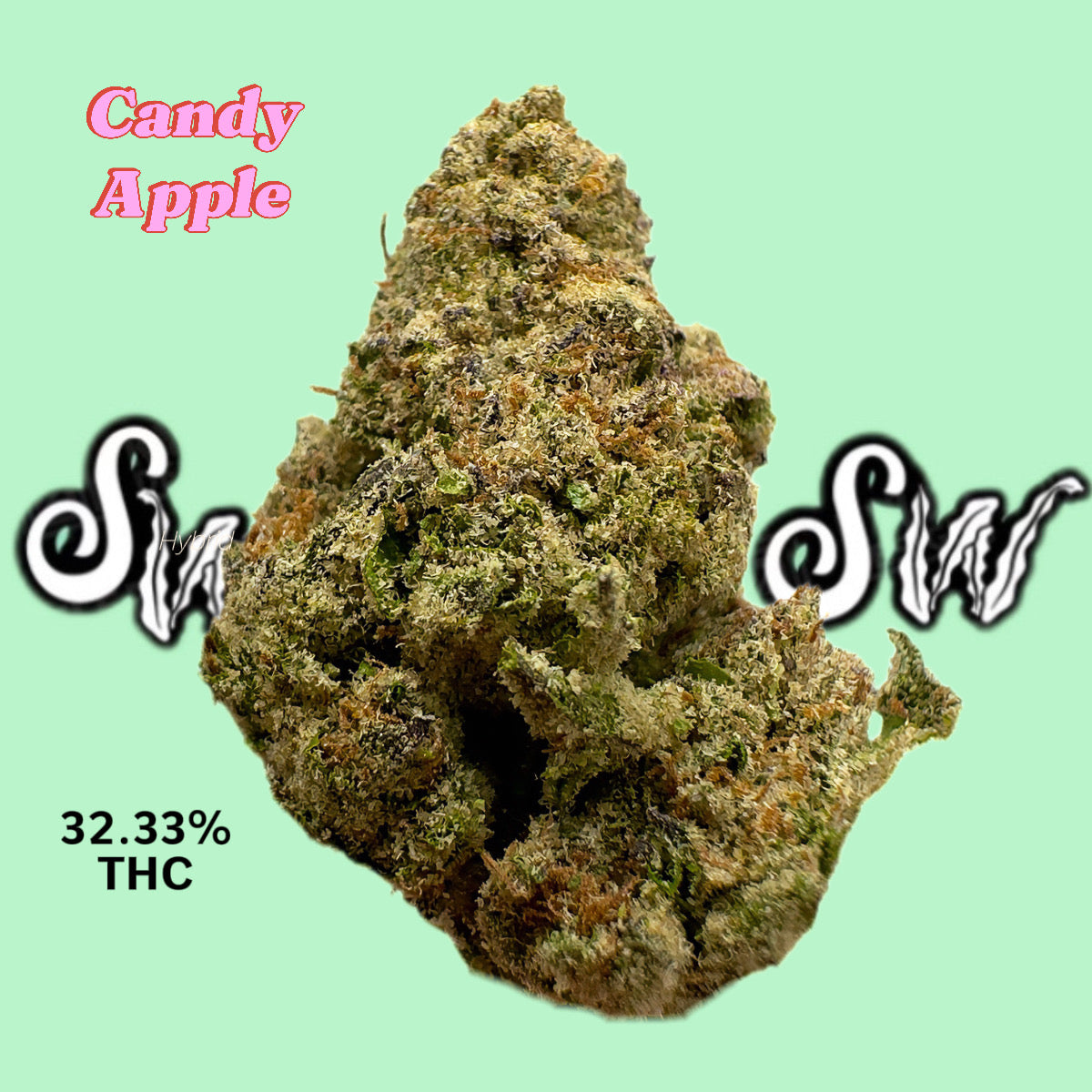 Candy Apple (Hybrid)