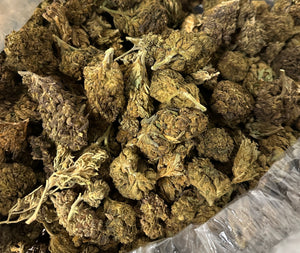 Shweg - (Bottom Shelf)