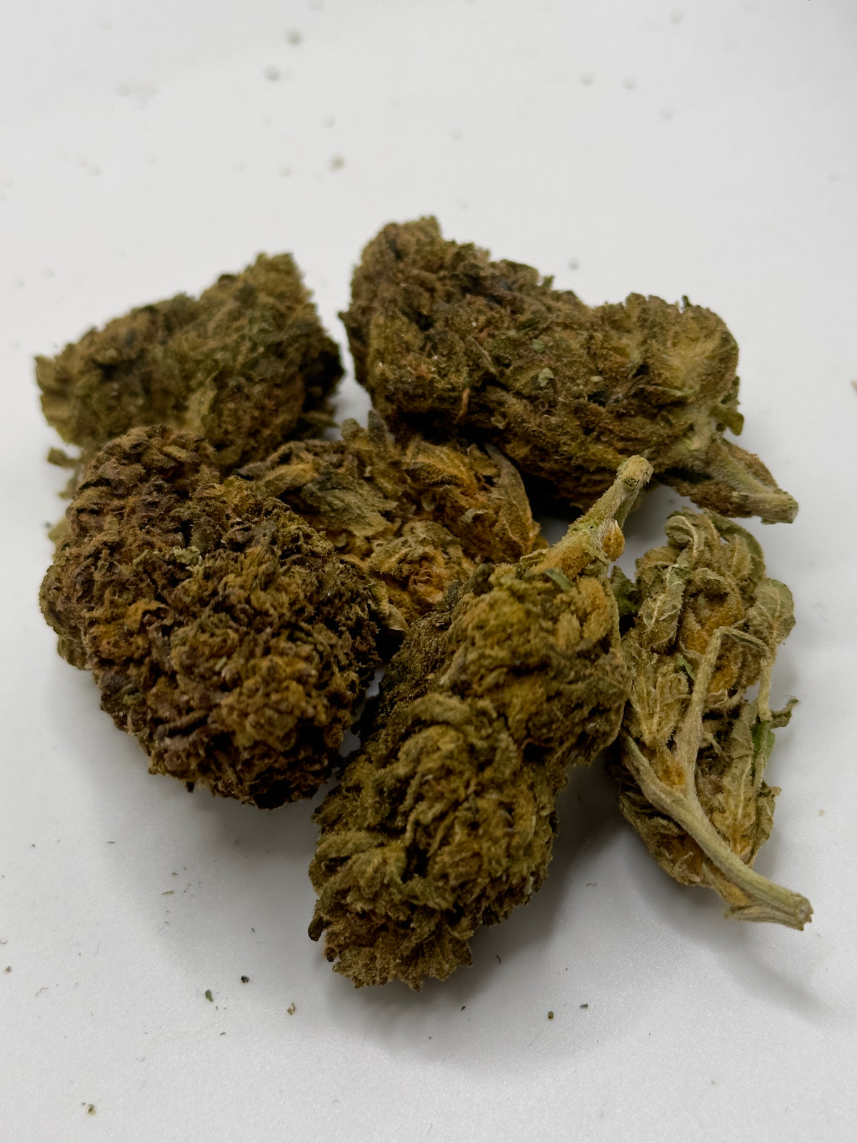 Seaweed Flower: 1/2 & Oz Specials