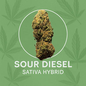 Seaweed Flower: 1/2 & Oz Specials