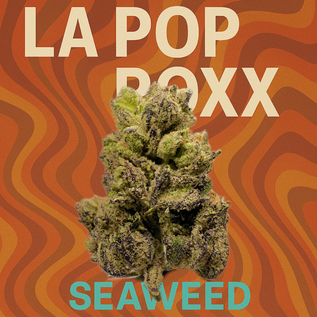 LA Pop Roxx - (Indica Dominant Hybrid)
