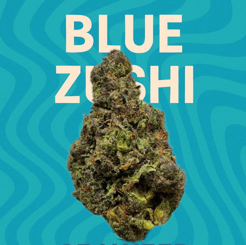 Blue Zushi - (Hybrid)