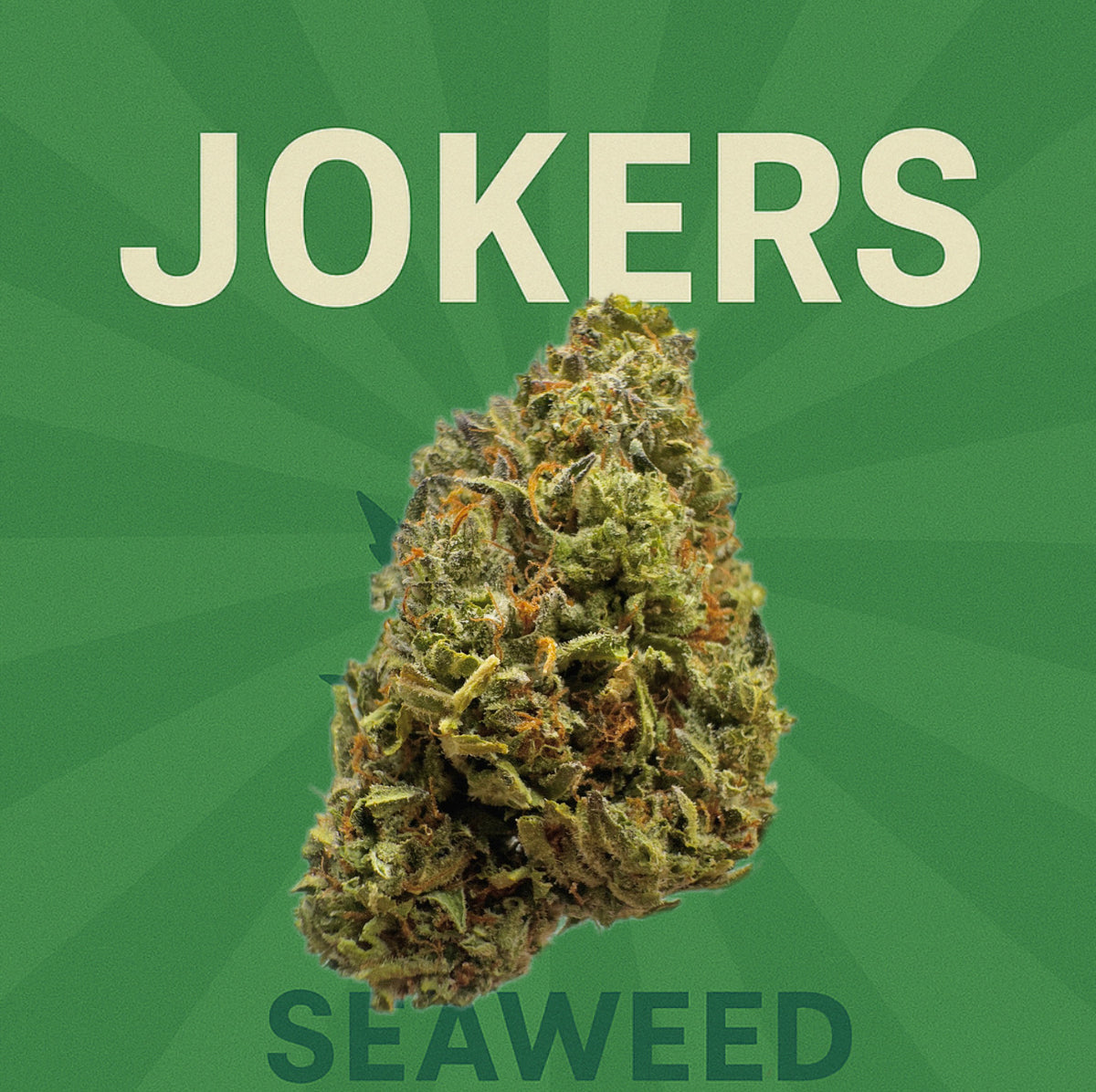 Seaweed Flower: 1/2 & Oz Specials