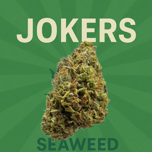 Seaweed Flower: 1/2 & Oz Specials