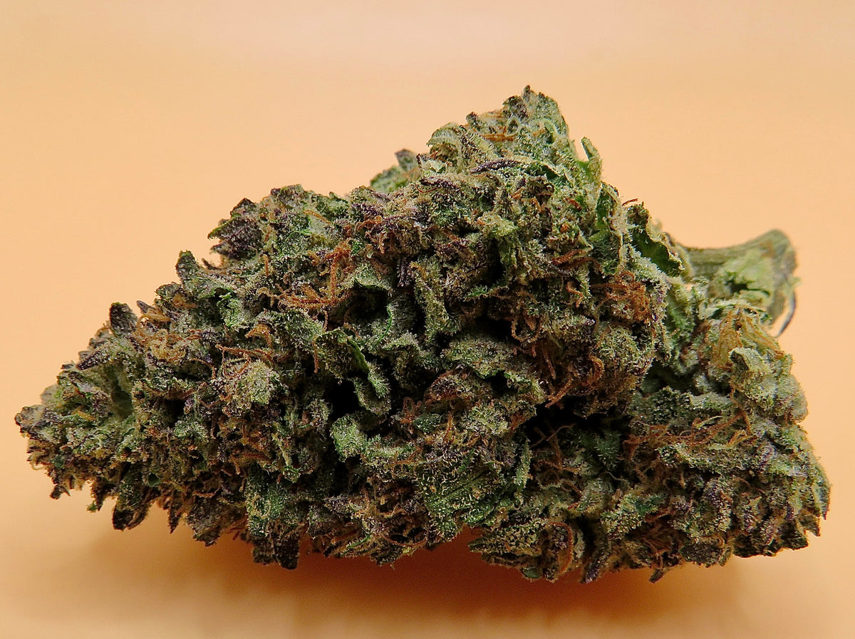 Seaweed Flower: 1/2 & Oz Specials