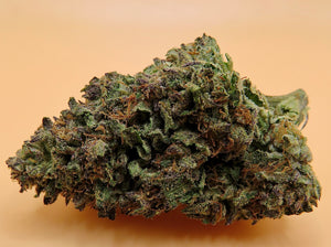 Seaweed Flower: 1/2 & Oz Specials