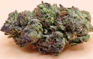 Seaweed Flower: 1/2 & Oz Specials