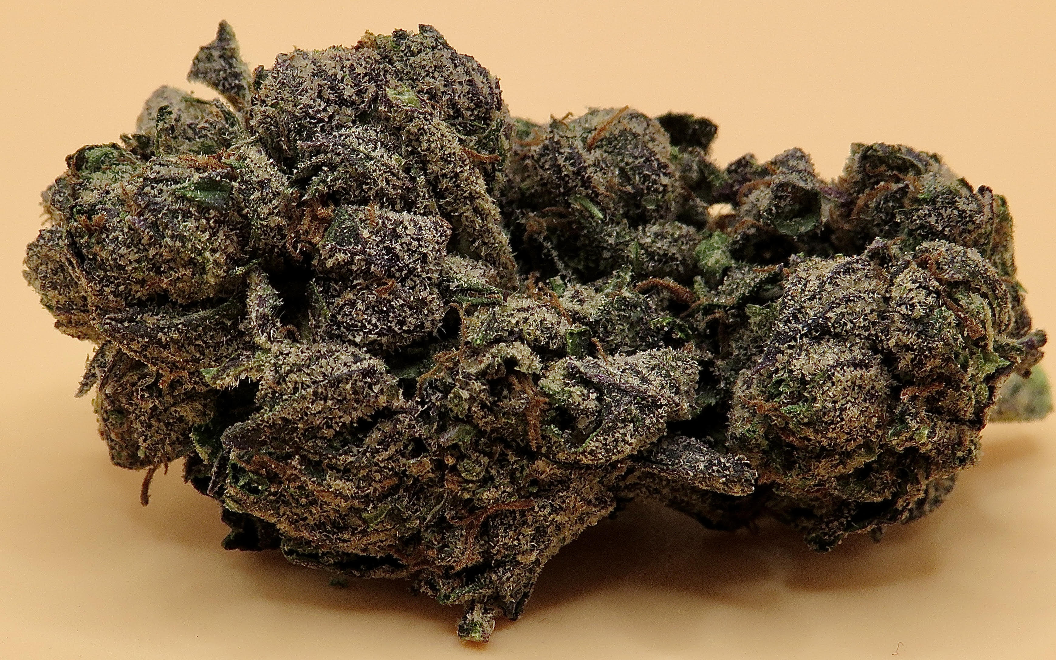Lemon Cherry Gelato Strain Allbud