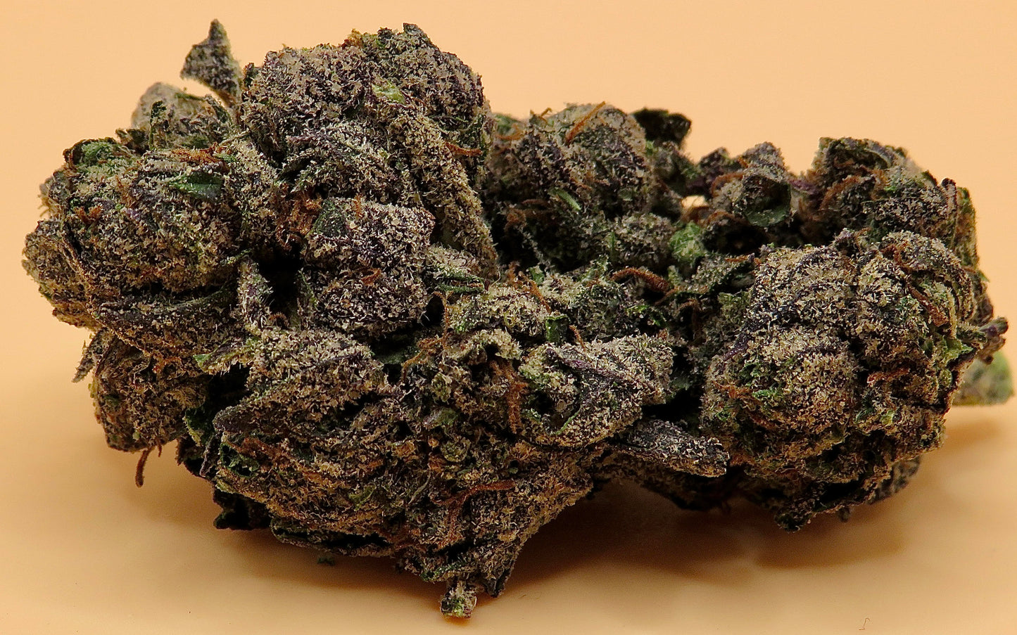 Lemon Cherry Gelato