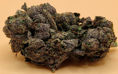 Lemon Cherry Gelato