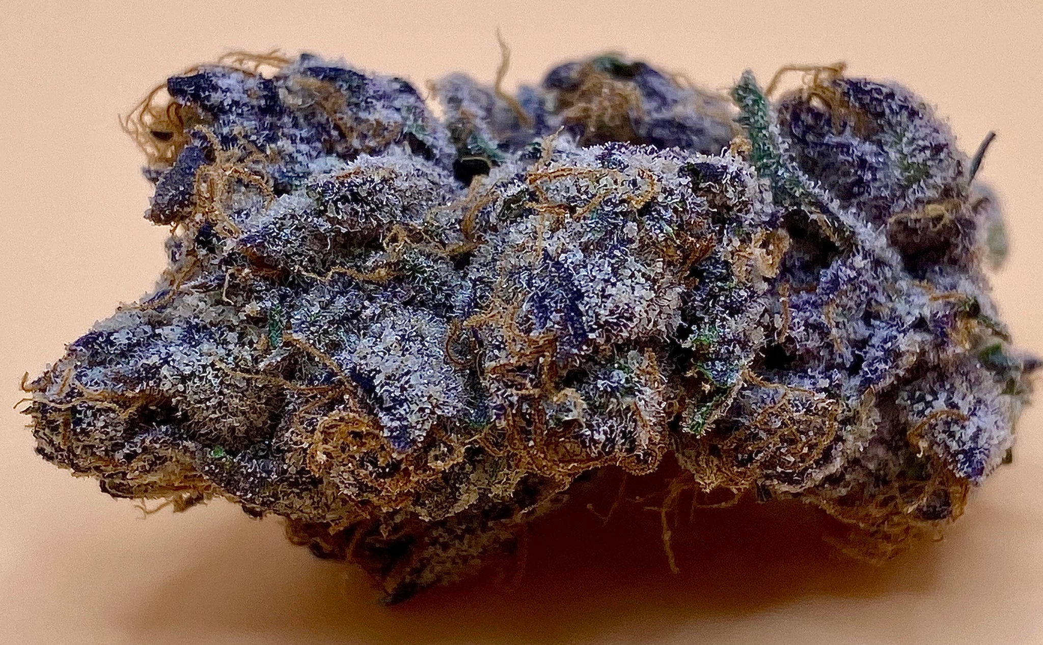 Exotic Hybrid Runtz Weed Strain Premium Cannabis 34