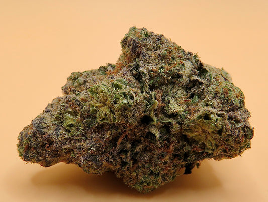 Mimosa