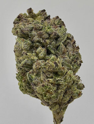 Seaweed Flower: 1/2 & Oz Specials