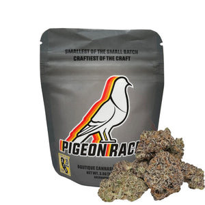 Pigeon Racer (Exotic Indoor - Tax Included)