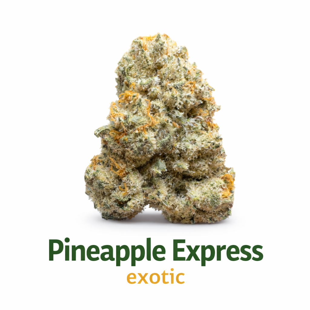 Pineapple Express (Hybrid) - Exotic