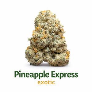 Pineapple Express (Hybrid) - Exotic