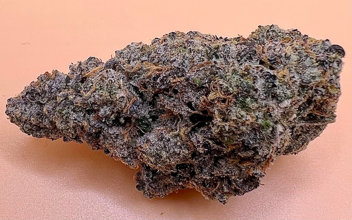 Seaweed Flower: 1/2 & Oz Specials