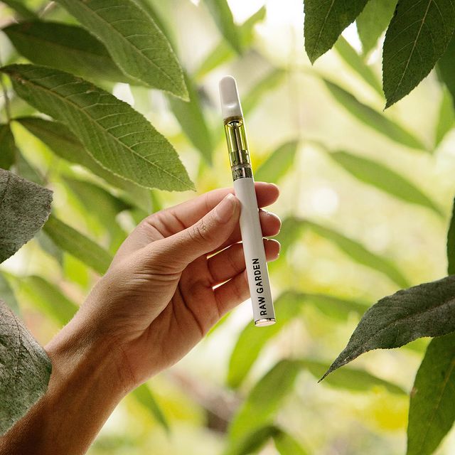 Raw Garden Disposable Vape Raw Garden Live Resin Disposables | Pure Cannabis Experience - Seaweed Delivery Raw Garden Disposable Vape Raw Garden Live Resin Disposables | Pure Cannabis Experience - Seaweed Delivery