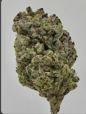 Seaweed Flower: 1/2 & Oz Specials