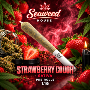 Strawberry Cough Sativa King Size Pre-Roll 1.1g | Seaweed House