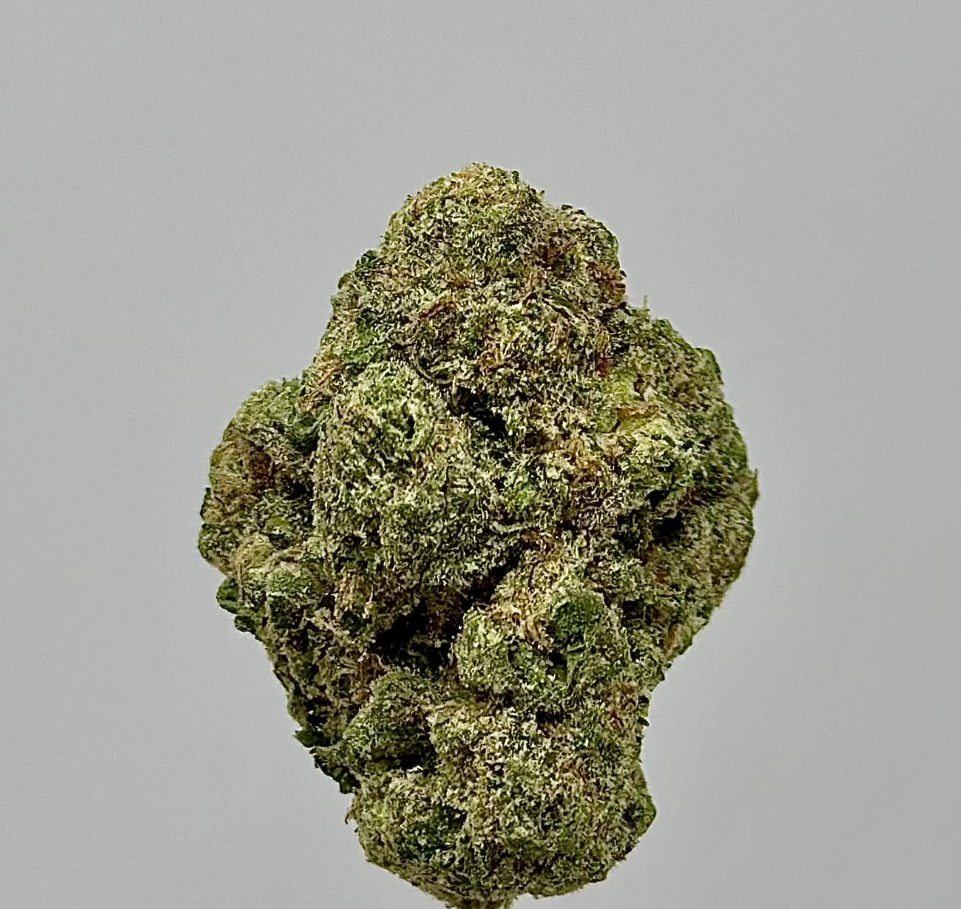Sweet Cream (Hybrid)