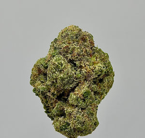 Sweet Cream (Hybrid)