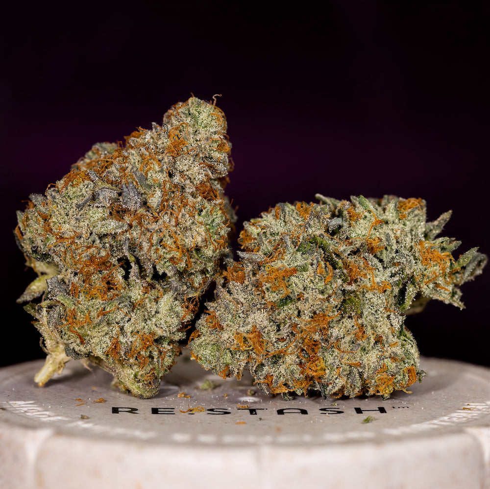 Coughy Shop Indoor Flower (Tax Included)