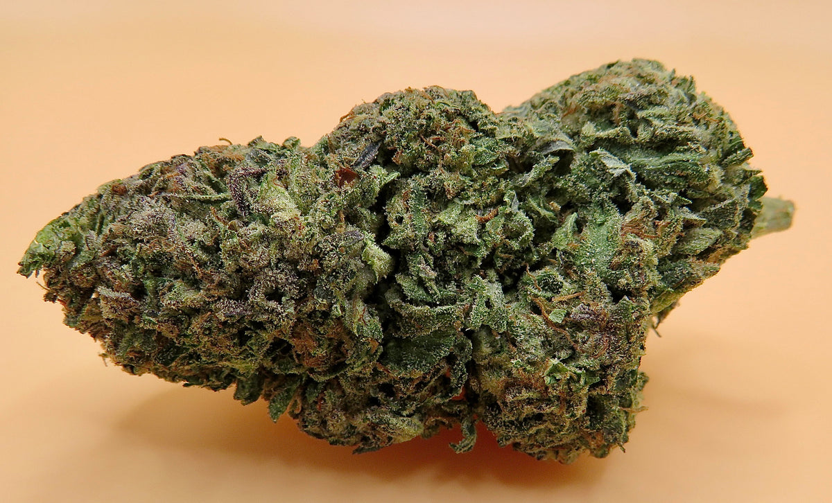 Seaweed Flower: 1/2 & Oz Specials