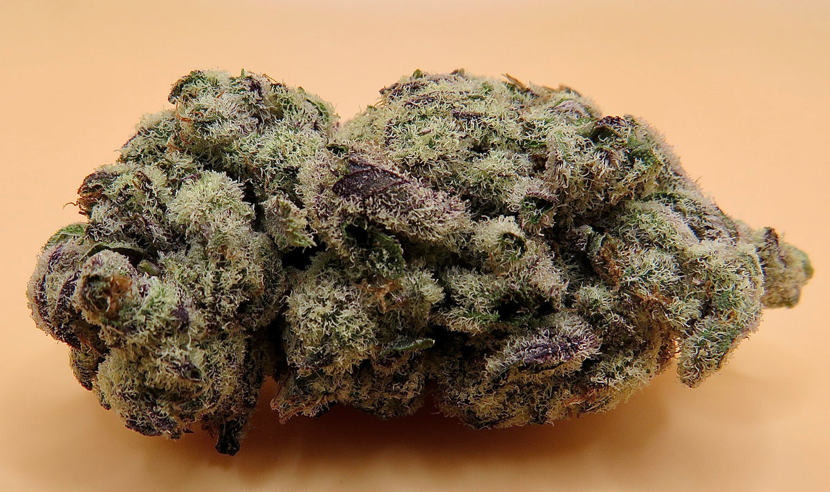 White Truffle (Exotic)