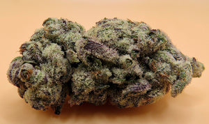 White Truffle (Exotic)