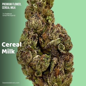 Seaweed Flower: 1/2 & Oz Specials