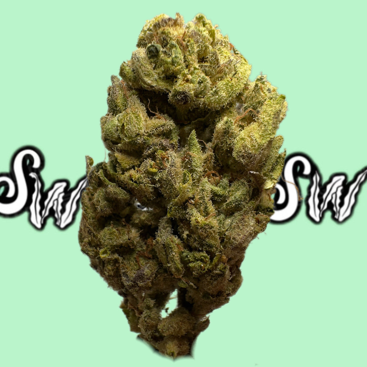Seaweed Flower: 1/2 & Oz Specials
