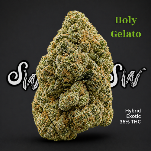 Holy Gelato  (Exotic- Hybrid)