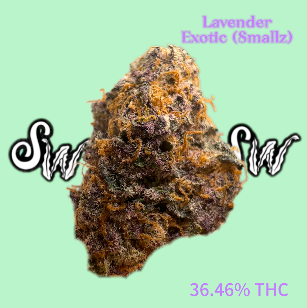 Seaweed Flower: 1/2 & Oz Specials