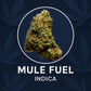 Seaweed Flower: 1/2 & Oz Specials