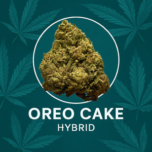 Seaweed Flower: 1/2 & Oz Specials