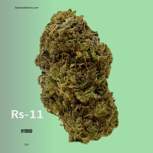 Seaweed Flower: 1/2 & Oz Specials