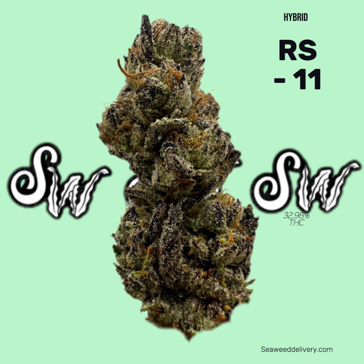 RS-11 (Hybrid)