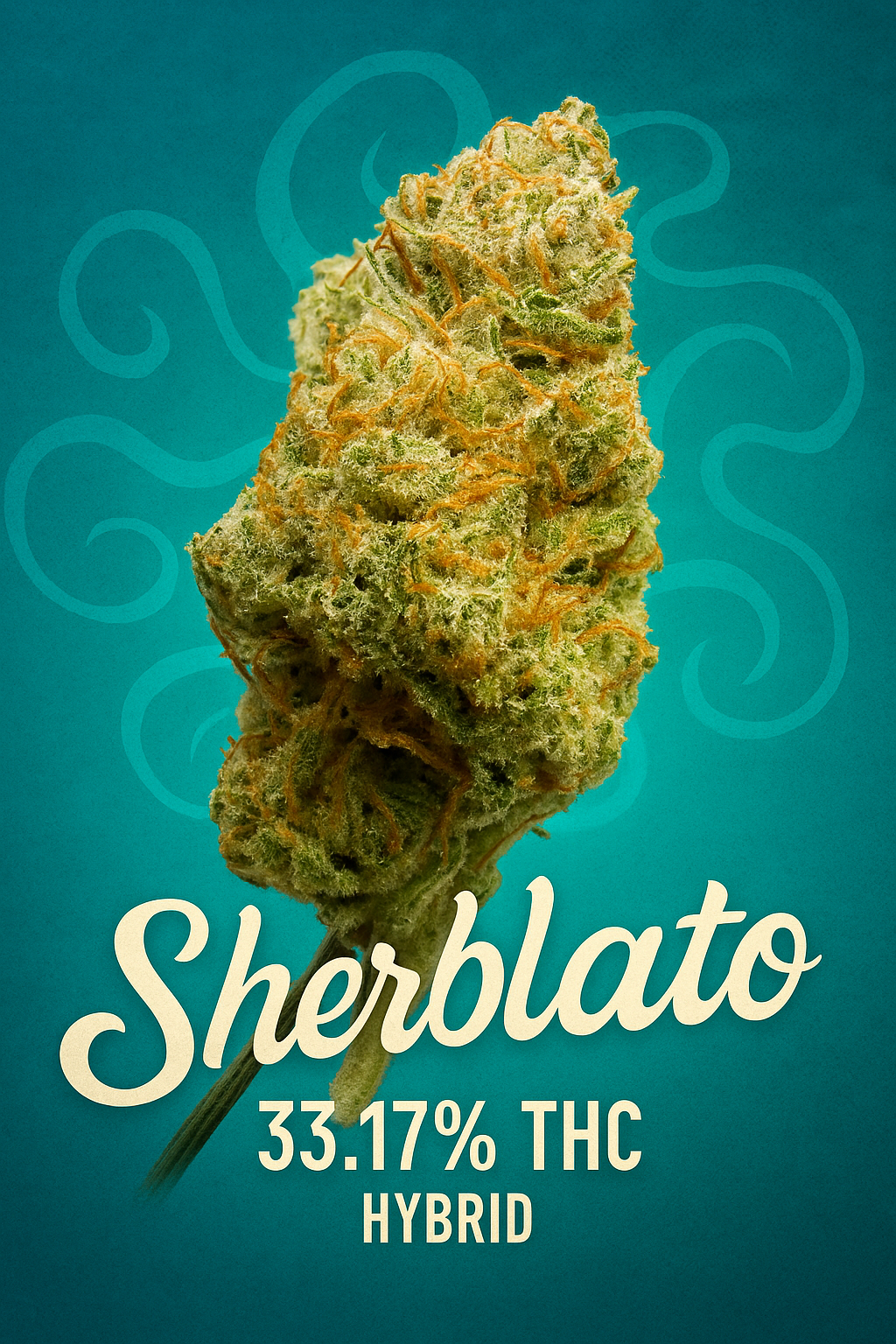 Seaweed Flower: 1/2 & Oz Specials