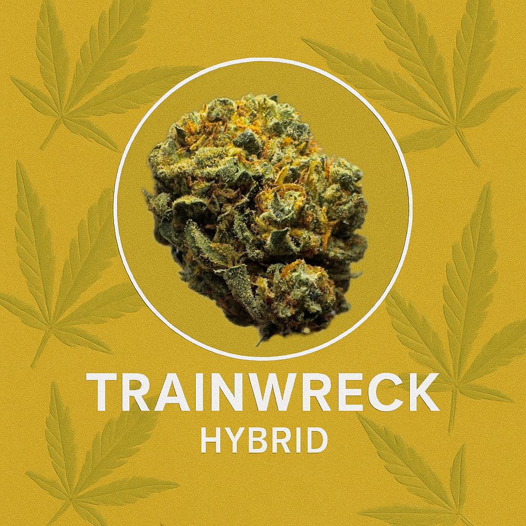 Seaweed Flower: 1/2 & Oz Specials