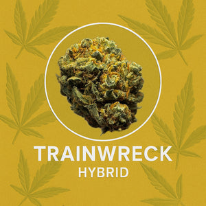 Seaweed Flower: 1/2 & Oz Specials