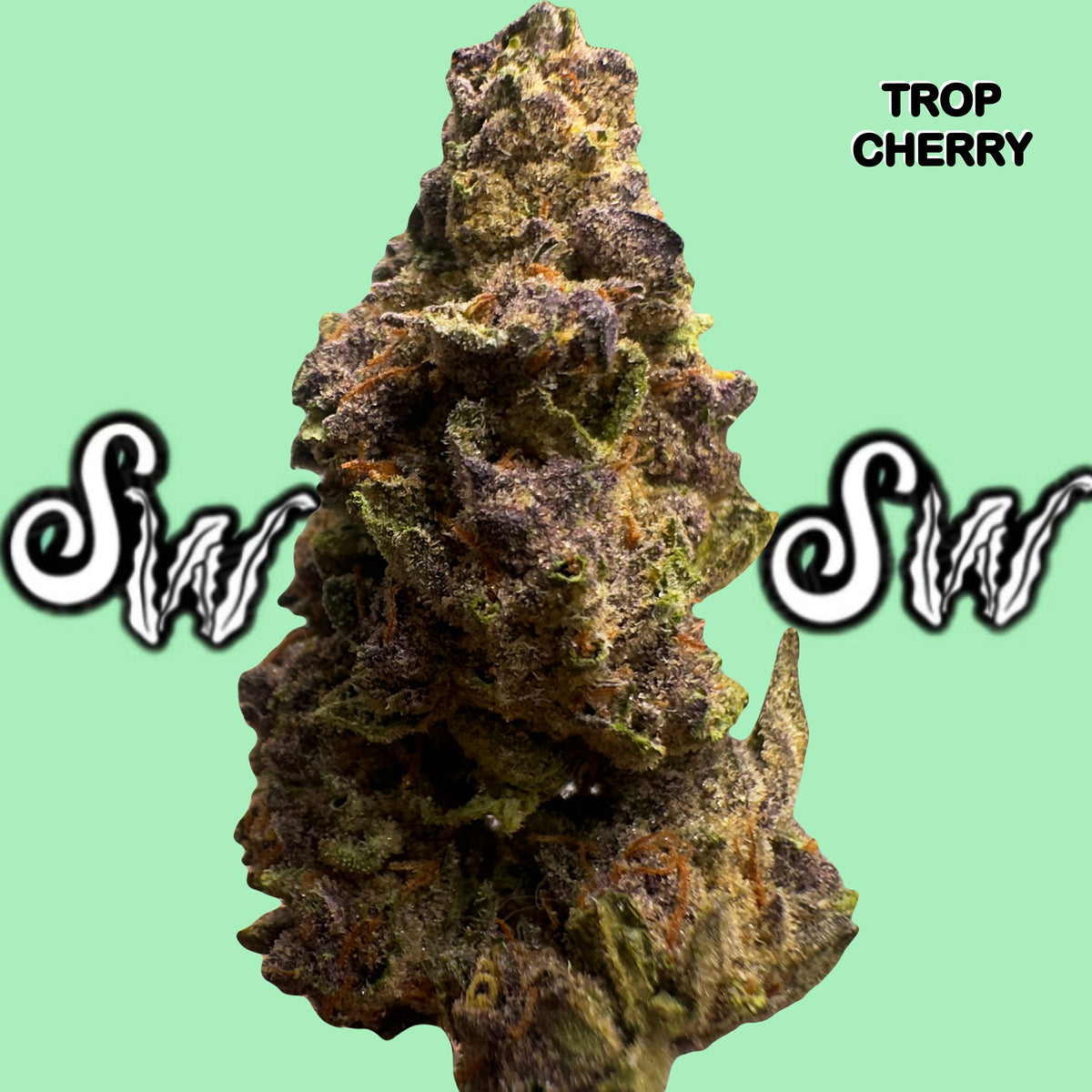 Trop Cherry (Sativa)