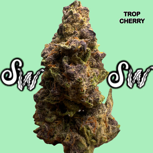 Trop Cherry (Sativa)